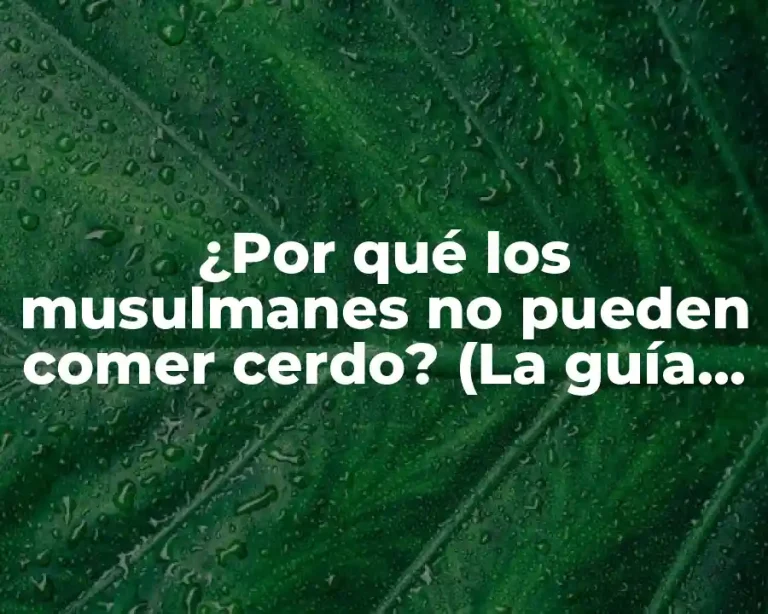 ¿Por qué los musulmanes no pueden comer cerdo? (La guía definitiva)