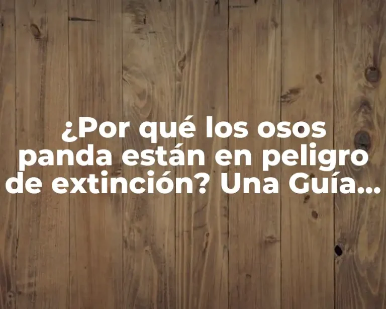 ¿Por qué los osos panda están en peligro de extinción? Una Guía Completa