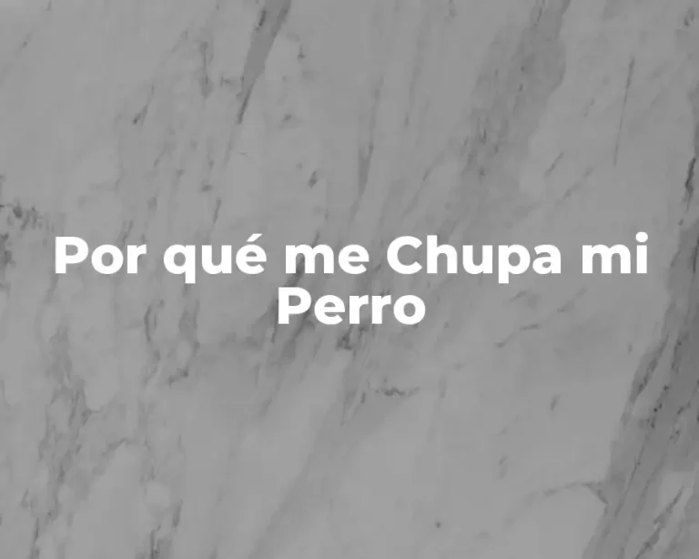 Por qué me Chupa mi Perro