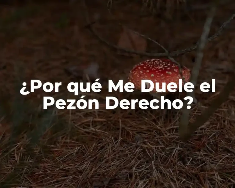 ¿Por qué Me Duele el Pezón Derecho?