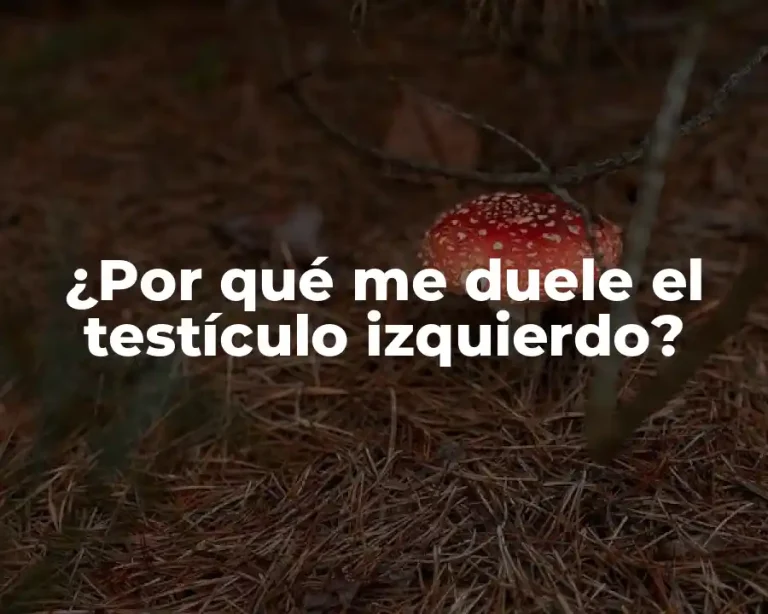 ¿Por qué me duele el testículo izquierdo?