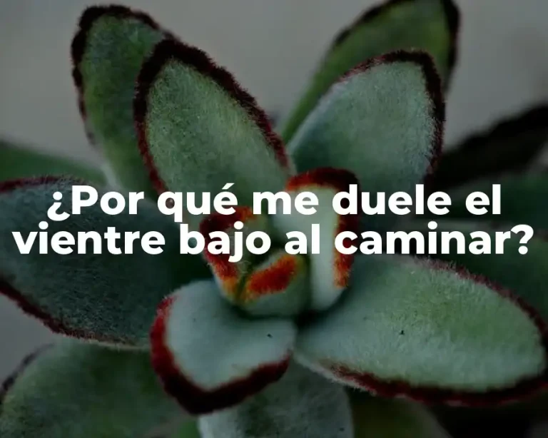 ¿Por qué me duele el vientre bajo al caminar?