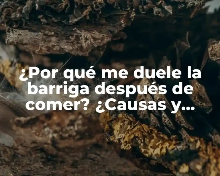 ¿Por qué me duele la barriga después de comer? ¿Causas y soluciones?