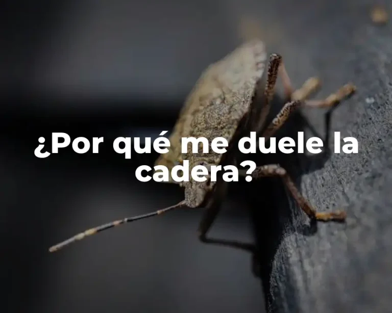 ¿Por qué me duele la cadera?