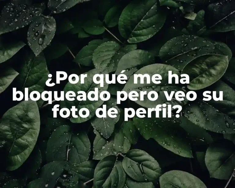 ¿Por qué me ha bloqueado pero veo su foto de perfil?