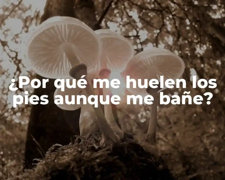 ¿Por qué me huelen los pies aunque me bañe?