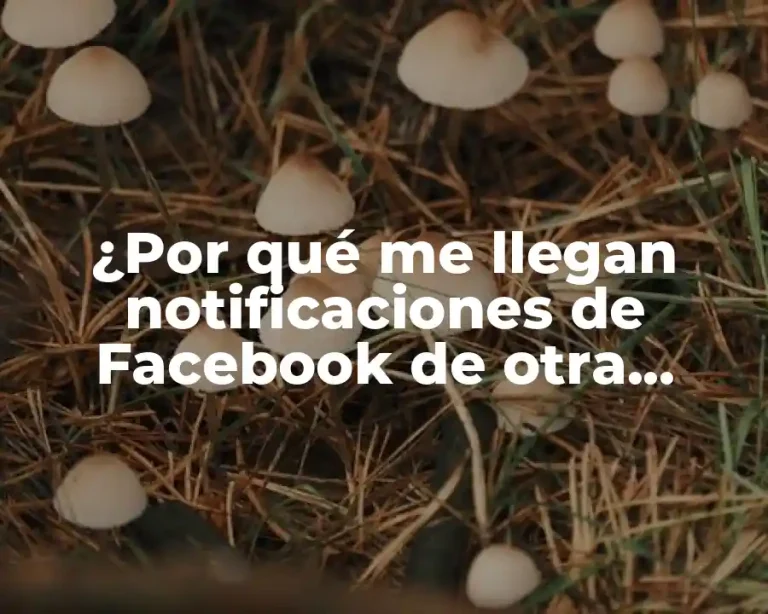 ¿Por qué me llegan notificaciones de Facebook de otra persona?