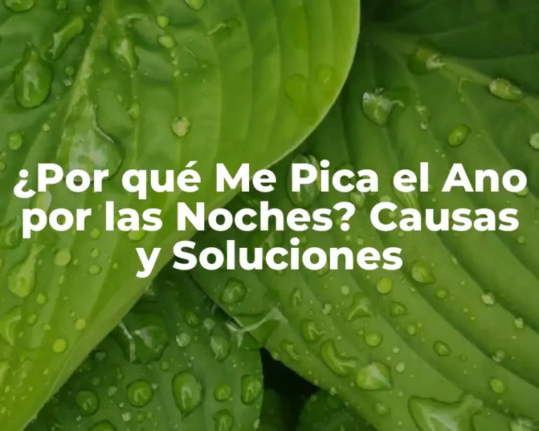 ¿Por qué Me Pica el Ano por las Noches? Causas y Soluciones