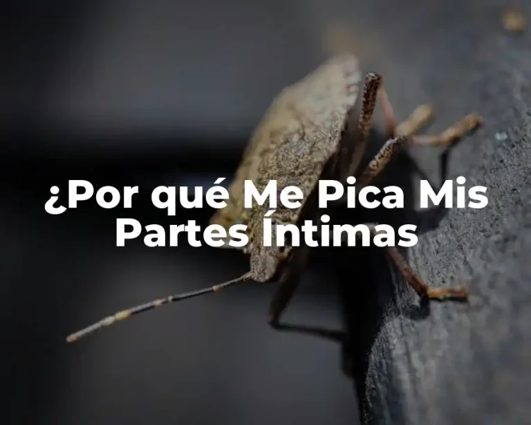 ¿Por qué Me Pica Mis Partes Íntimas