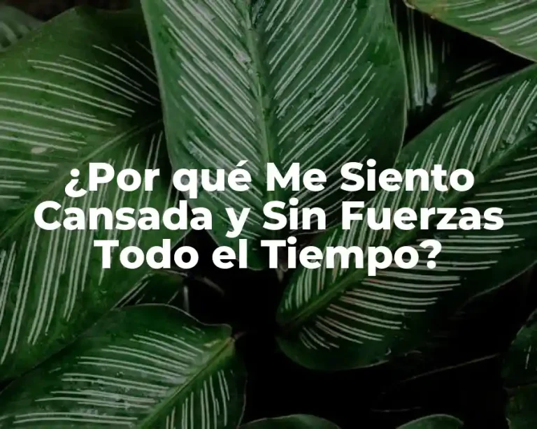 ¿Por qué Me Siento Cansada y Sin Fuerzas Todo el Tiempo?