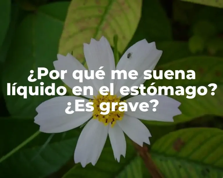 ¿Por qué me suena líquido en el estómago? ¿Es grave?