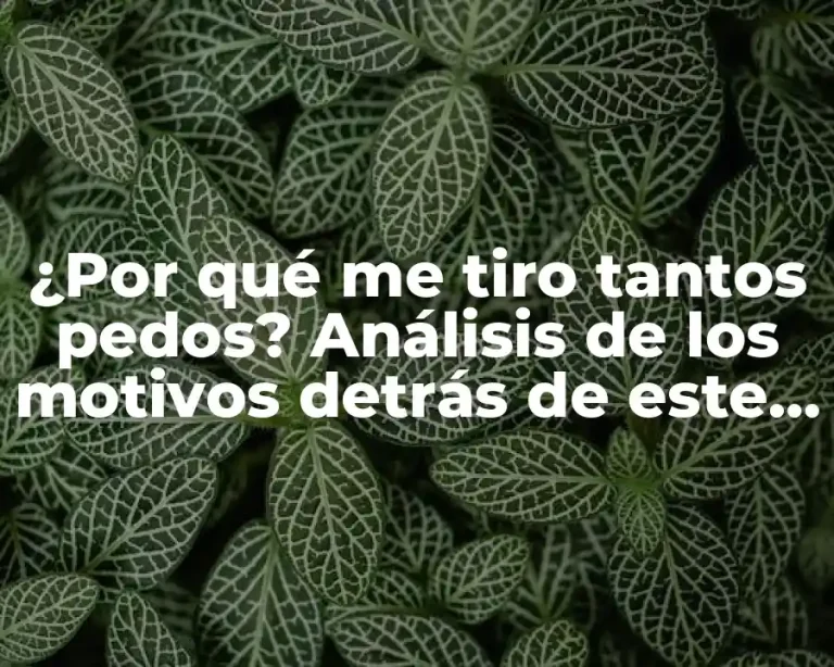 ¿Por qué me tiro tantos pedos? Análisis de los motivos detrás de este problema común