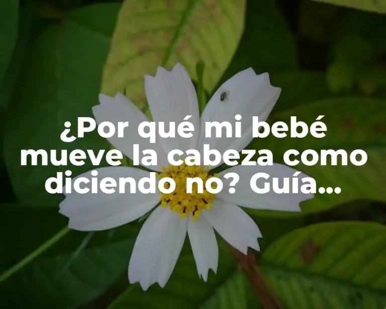 ¿Por qué mi bebé mueve la cabeza como diciendo no? Guía Completa
