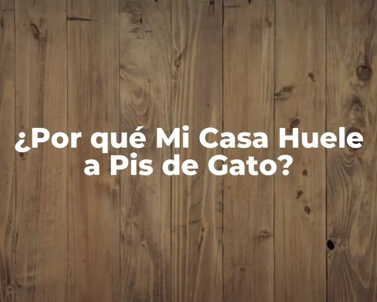 ¿Por qué Mi Casa Huele a Pis de Gato?