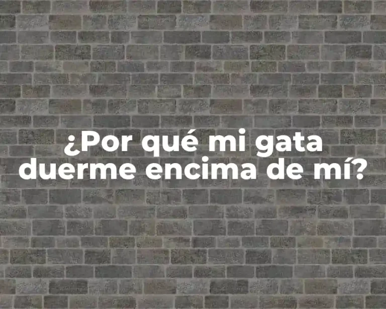 ¿Por qué mi gata duerme encima de mí?