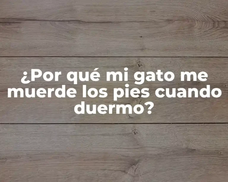 ¿Por qué mi gato me muerde los pies cuando duermo?