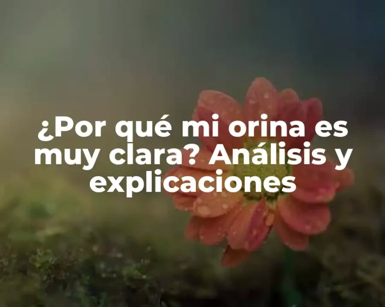 ¿Por qué mi orina es muy clara? Análisis y explicaciones