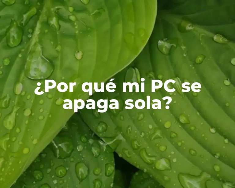 ¿Por qué mi PC se apaga sola?