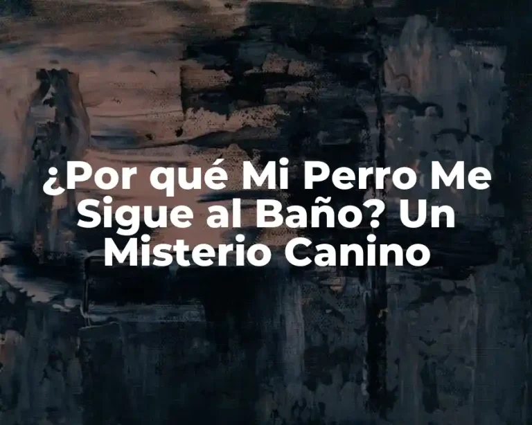 ¿Por qué Mi Perro Me Sigue al Baño? Un Misterio Canino