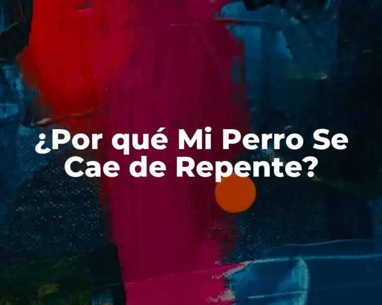 ¿Por qué Mi Perro Se Cae de Repente?