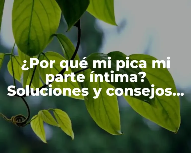 ¿Por qué mi pica mi parte íntima? Soluciones y consejos para una zona íntima saludable