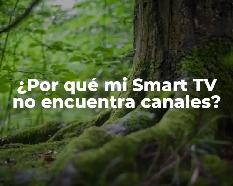 ¿Por qué mi Smart TV no encuentra canales?