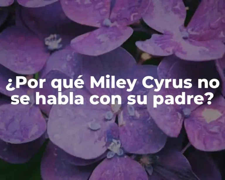 ¿Por qué Miley Cyrus no se habla con su padre?