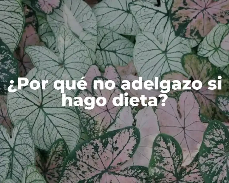 ¿Por qué no adelgazo si hago dieta?