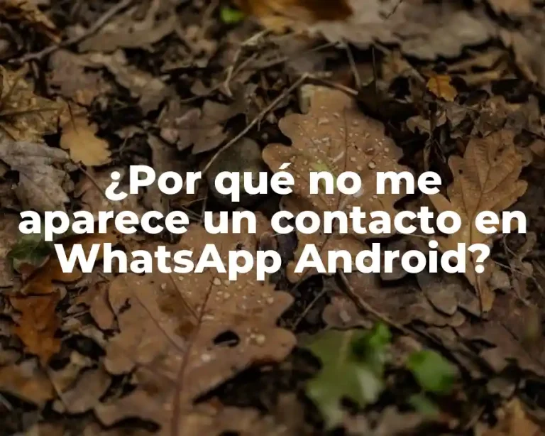 ¿Por qué no me aparece un contacto en WhatsApp Android?