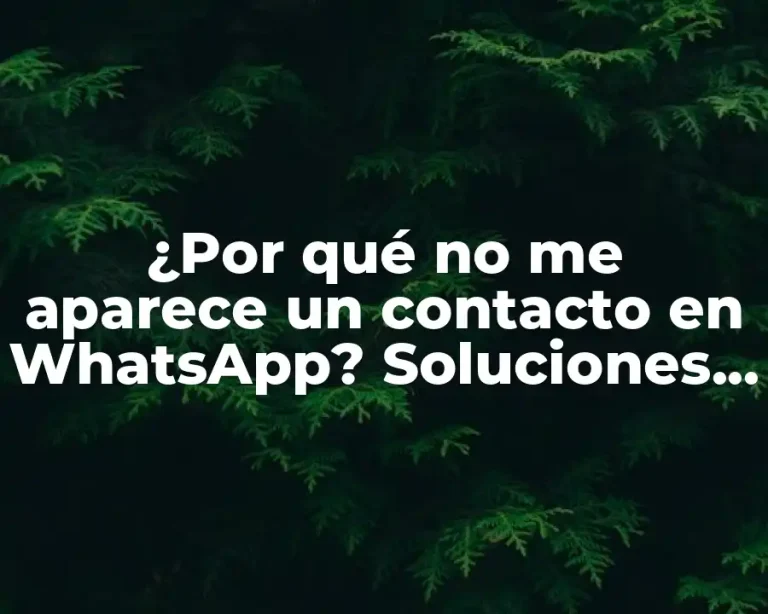 ¿Por qué no me aparece un contacto en WhatsApp? Soluciones y Causas Comunes