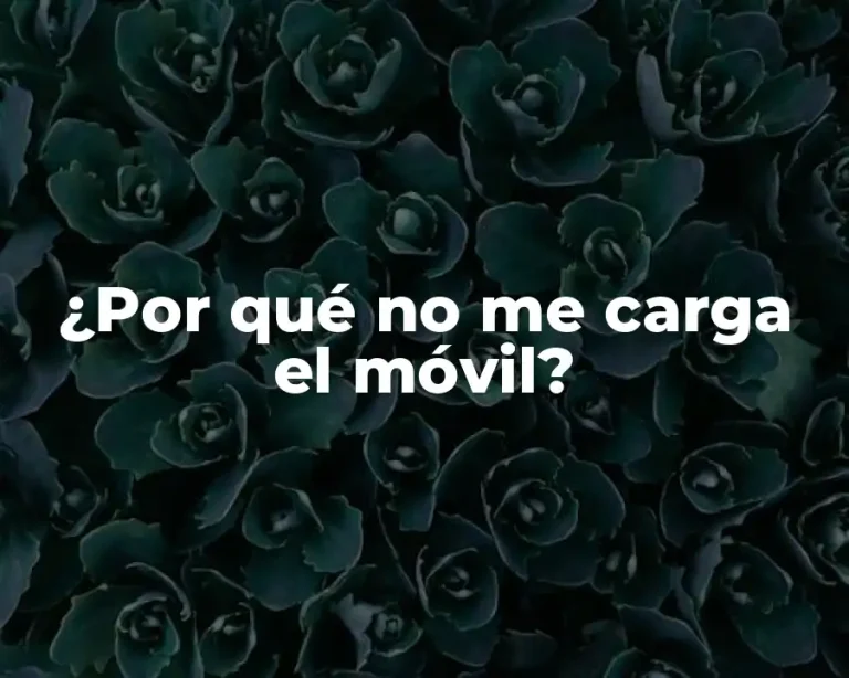 ¿Por qué no me carga el móvil?
