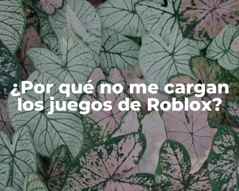 ¿Por qué no me cargan los juegos de Roblox?