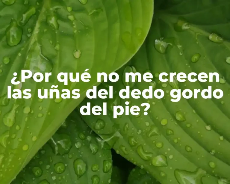 ¿Por qué no me crecen las uñas del dedo gordo del pie?