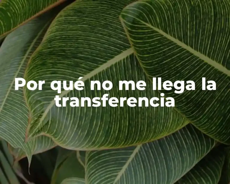 Por qué no me llega la transferencia