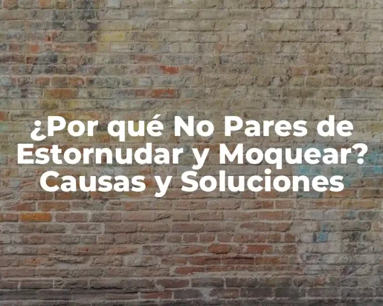 ¿Por qué No Pares de Estornudar y Moquear? Causas y Soluciones