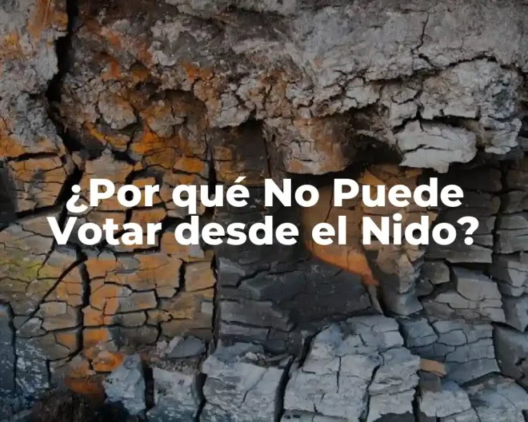 ¿Por qué No Puede Votar desde el Nido?