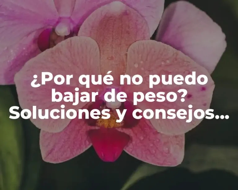 ¿Por qué no puedo bajar de peso? Soluciones y consejos para superar la frustración