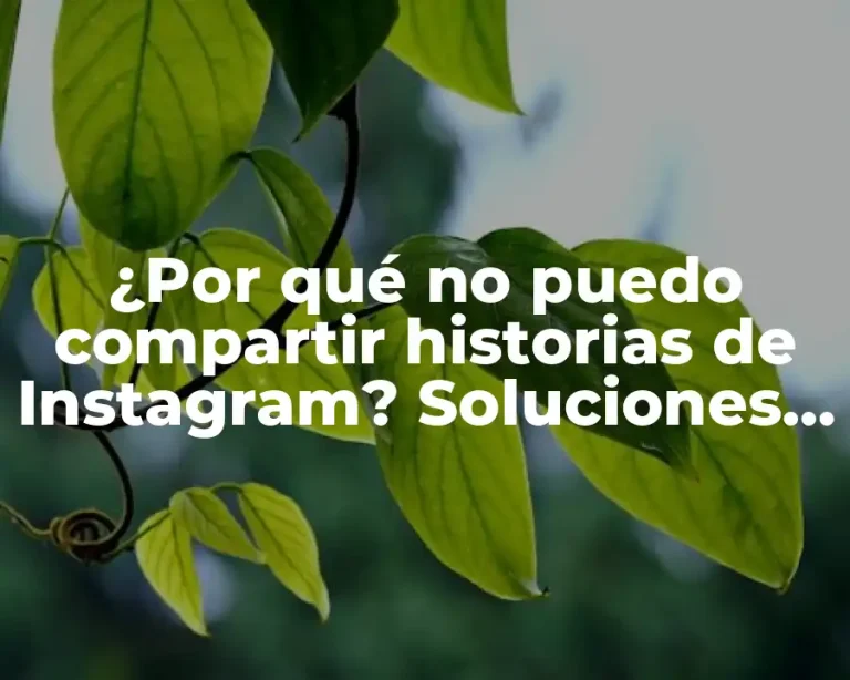 ¿Por qué no puedo compartir historias de Instagram? Soluciones y trucos