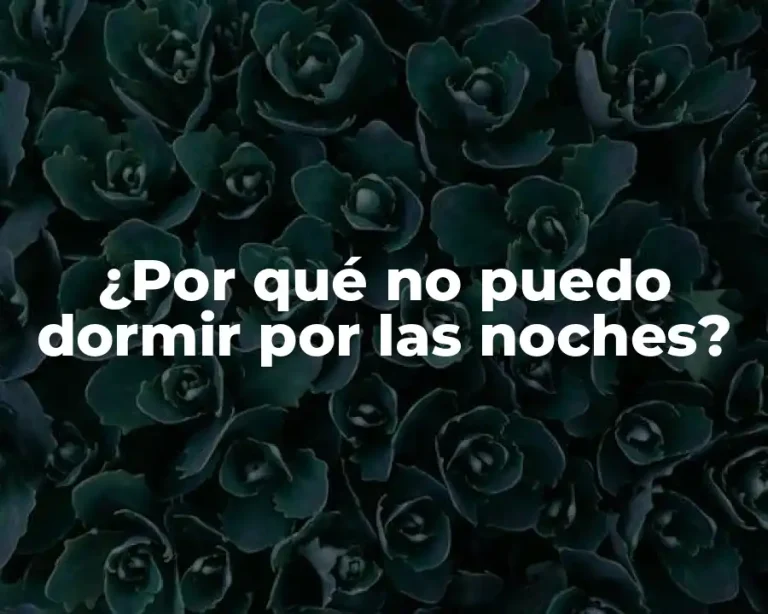 ¿Por qué no puedo dormir por las noches?