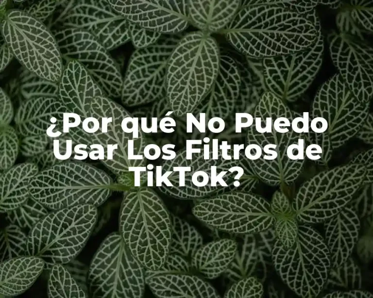 ¿Por qué No Puedo Usar Los Filtros de TikTok?