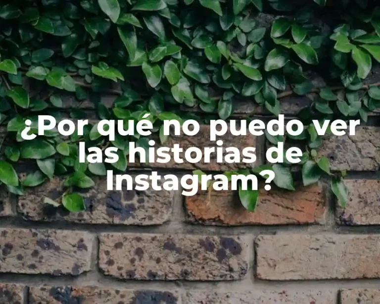 ¿Por qué no puedo ver las historias de Instagram?