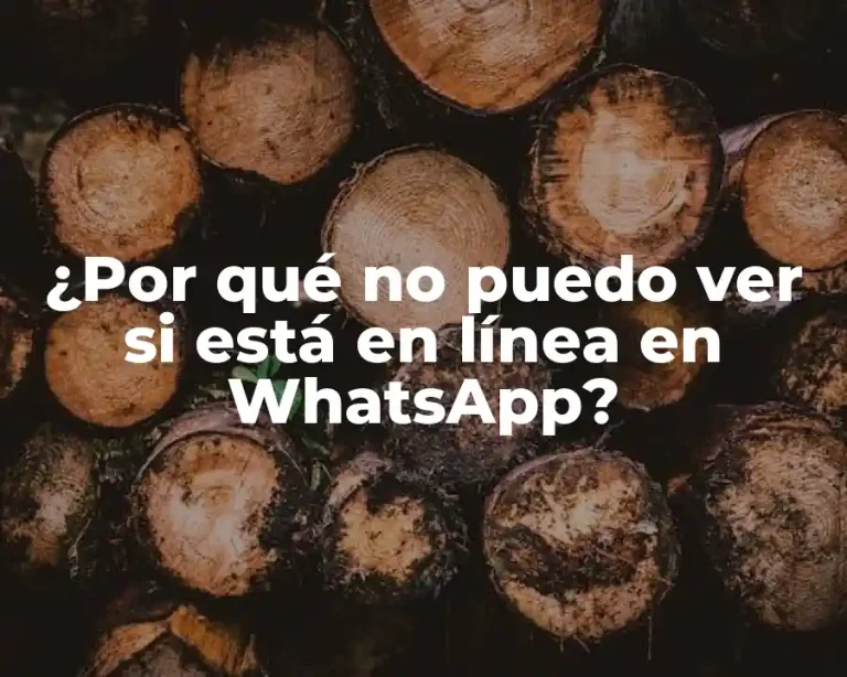 ¿Por qué no puedo ver si está en línea en WhatsApp?