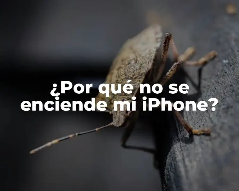 ¿Por qué no se enciende mi iPhone?