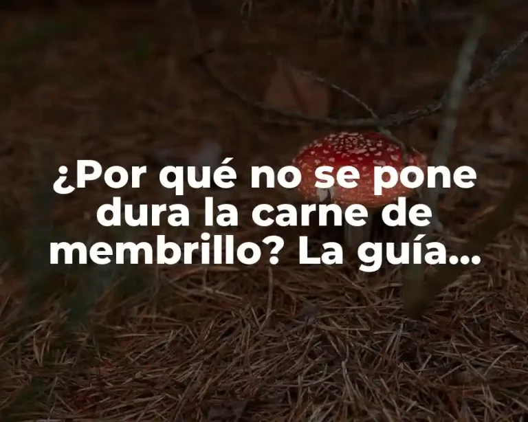 ¿Por qué no se pone dura la carne de membrillo? La guía definitiva