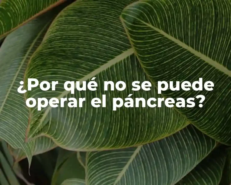 ¿Por qué no se puede operar el páncreas?