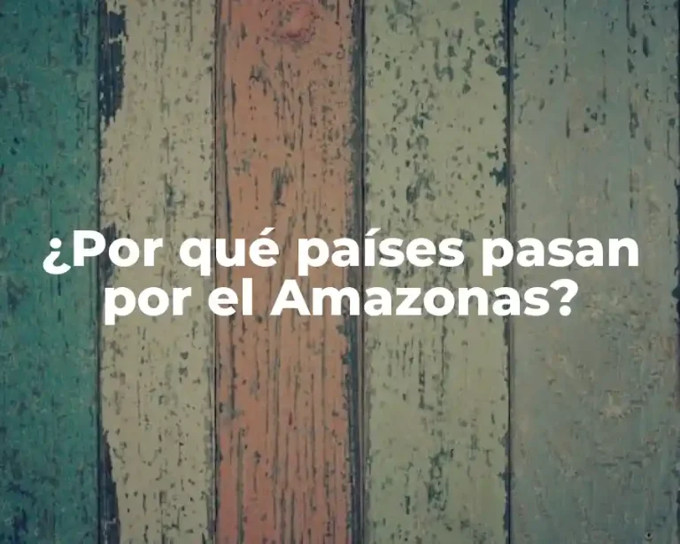 ¿Por qué países pasan por el Amazonas?