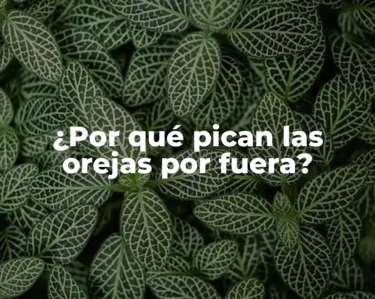 ¿Por qué pican las orejas por fuera?