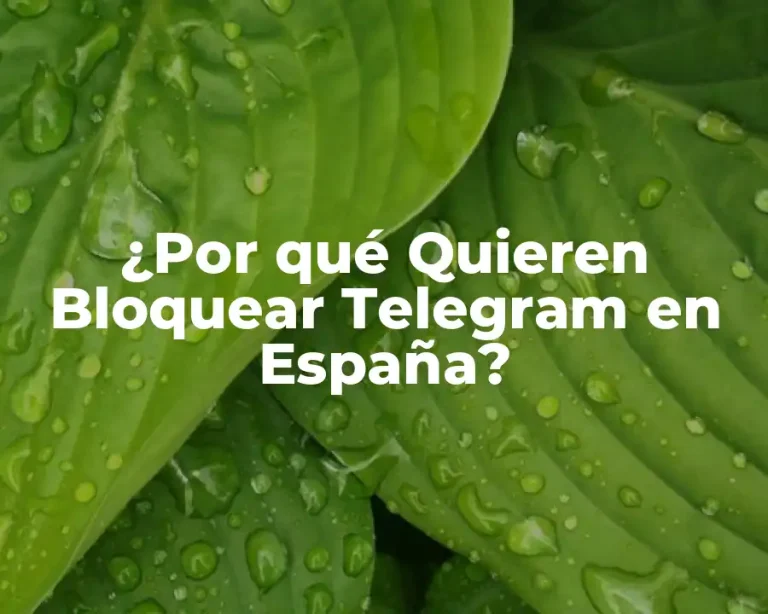 ¿Por qué Quieren Bloquear Telegram en España?