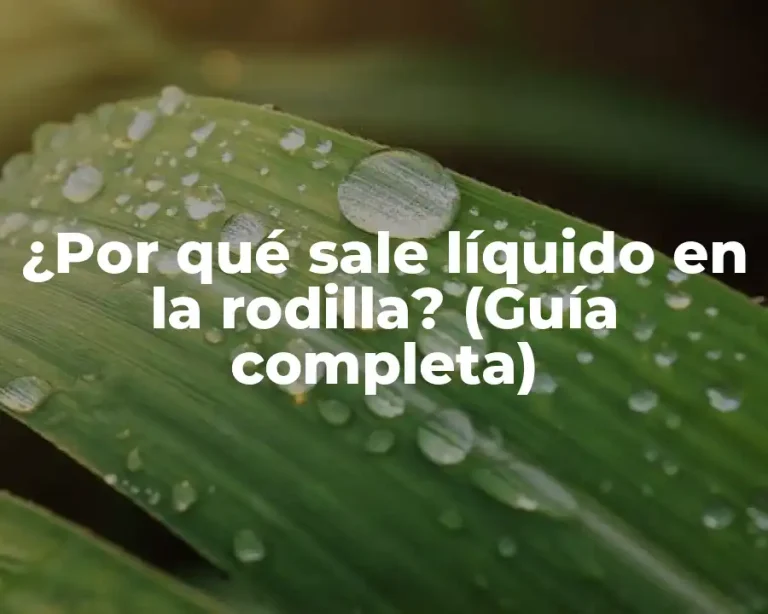 ¿Por qué sale líquido en la rodilla? (Guía completa)