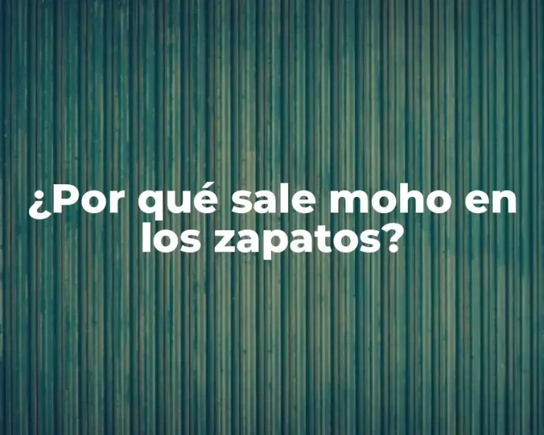 ¿Por qué sale moho en los zapatos?